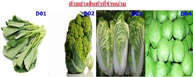 ผักคะน้า, กะหล่ำดอก, ผักกาดขาว, กะหล่ำปลี
